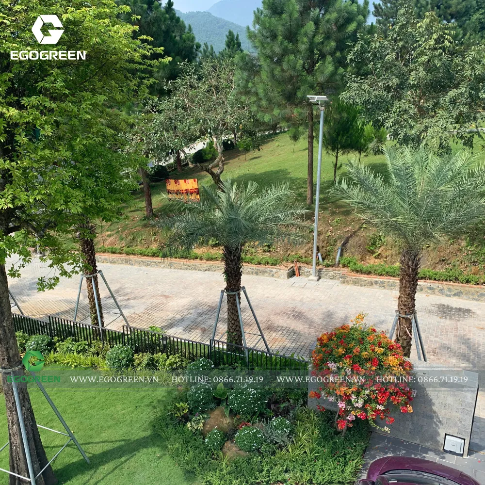 Cây cao tán rộng đan xen với bụi cây hoa thấp tạo nên không gian có chiều sâu.